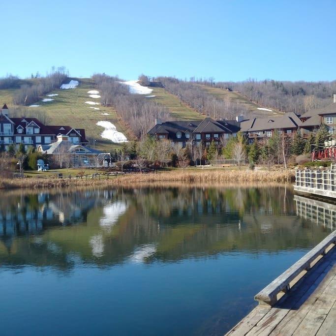 Blue Mountain Suites Lodge