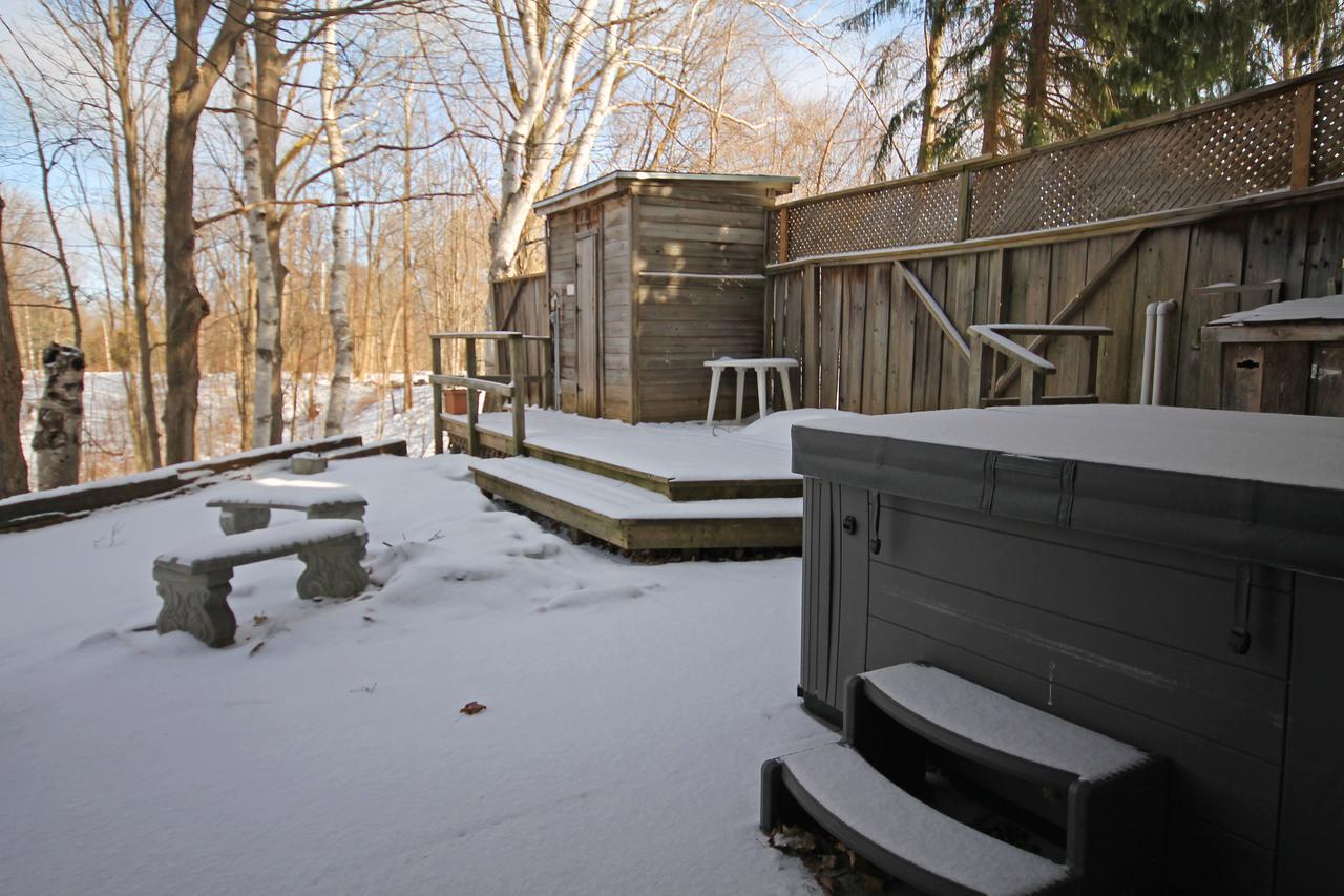 Chalet 128 Birch View Trail