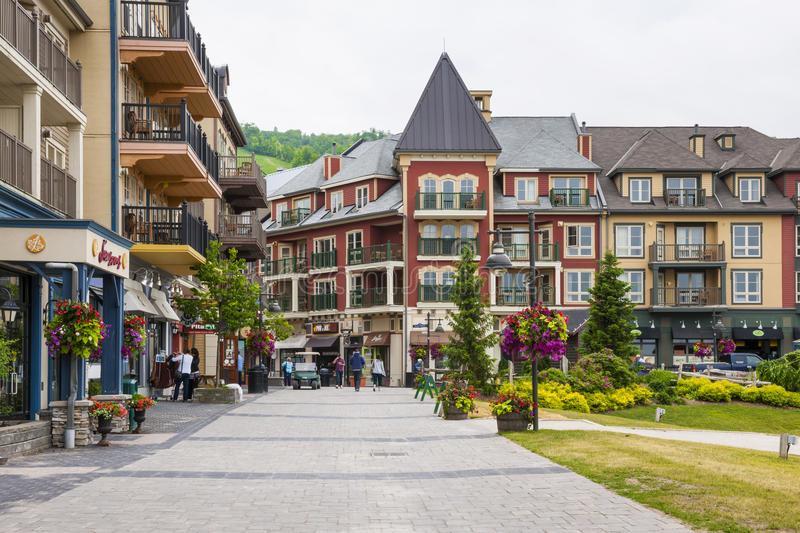 Blue Mountain 2 Story Loft Apartment *
