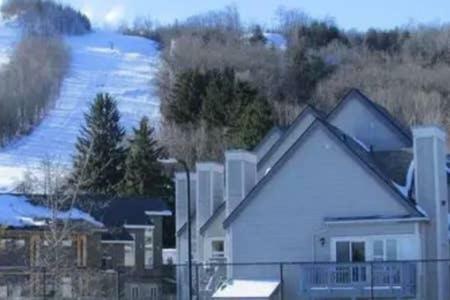 Blue Mountain 2 Story Loft Apartment