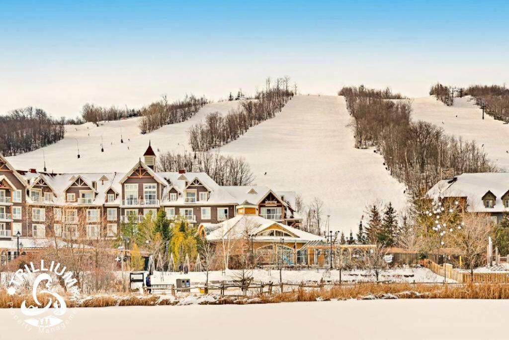 Steps To The Hill 1 Bedroom Cravetv *