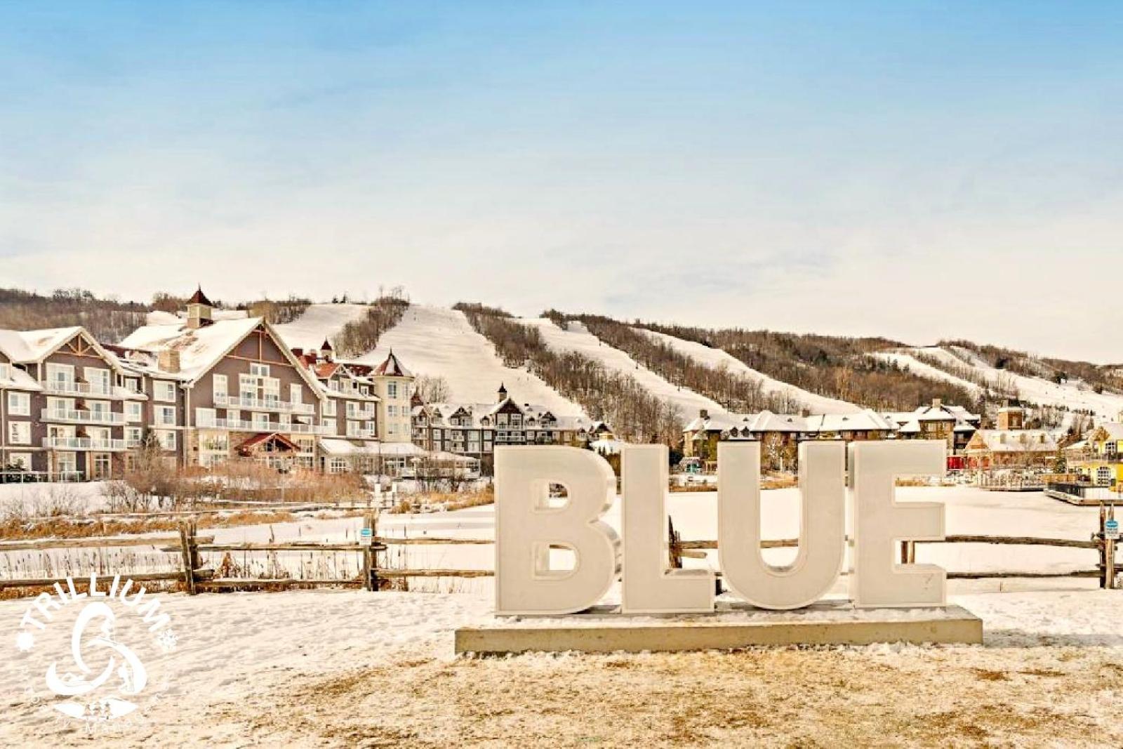 Timbuk-blue Ski In/ski Out *