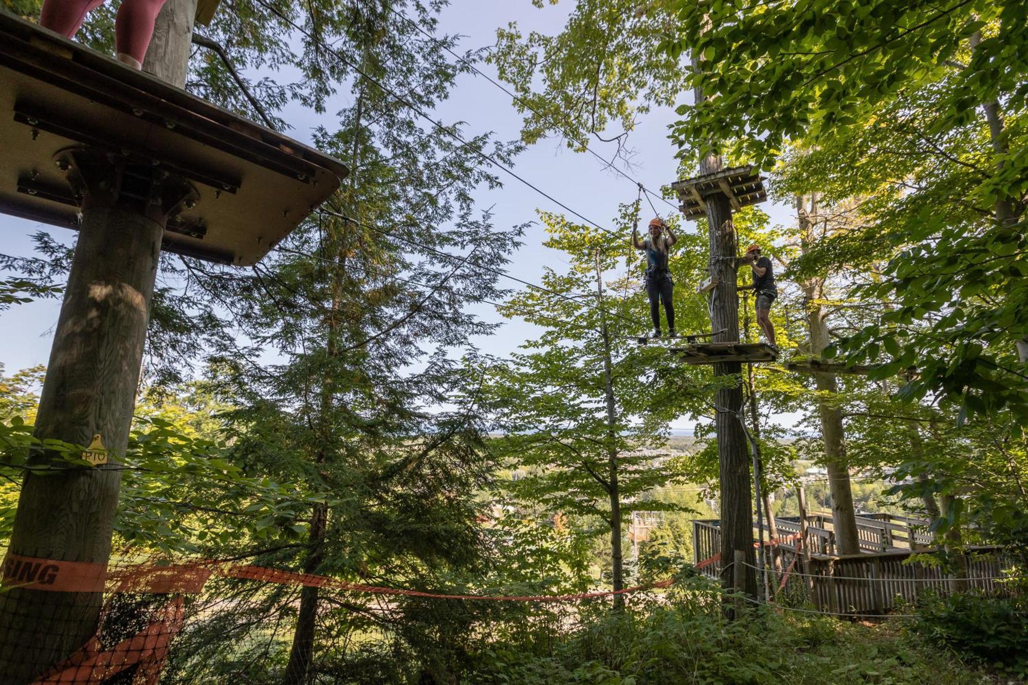 Blue Mountain Collection Hotel Blue Mountains