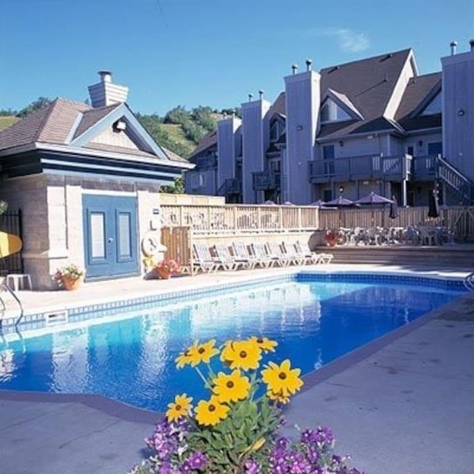 Blue Mountain Suites Lodge *