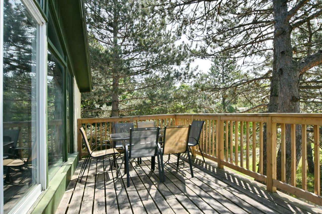 Chalet Mountain View 2